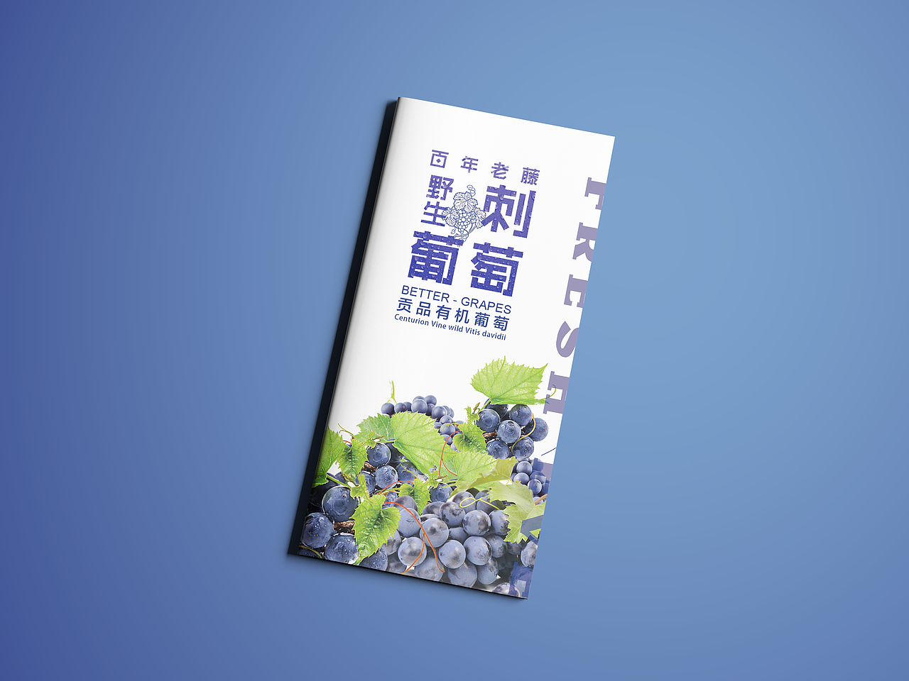 一款水果三折頁（圖ZMTA2MzQwNTQ4） - 書籍/畫冊 - 站酷設計師小邊設計原創(chuàng)素材 - 站酷ZCOOL