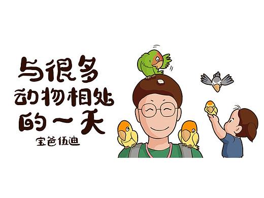 与很多动物相处的一天