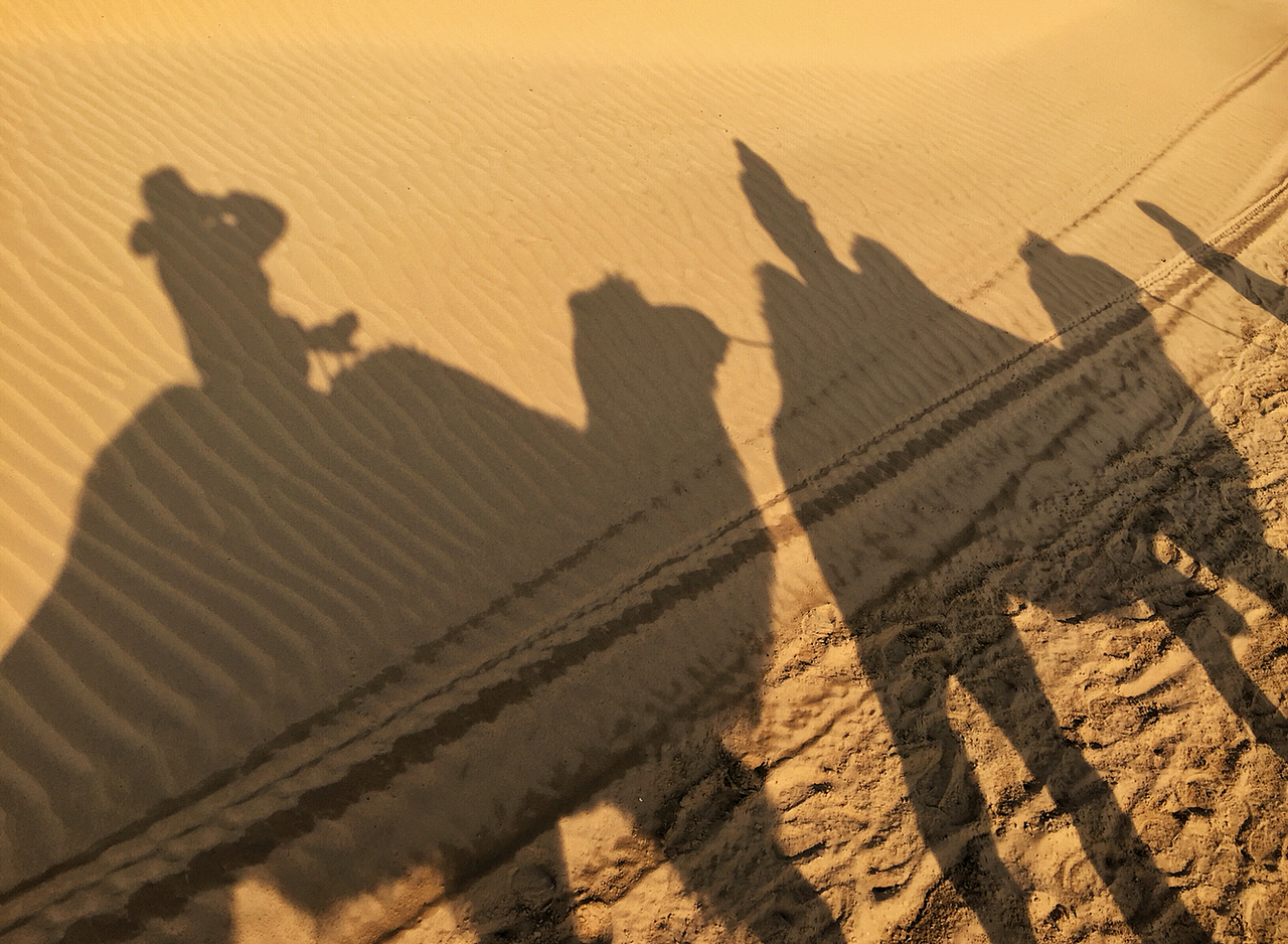 陌生的城市遇见一种感动