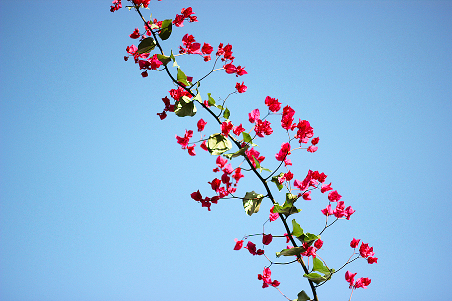 厦门铁路文化公园