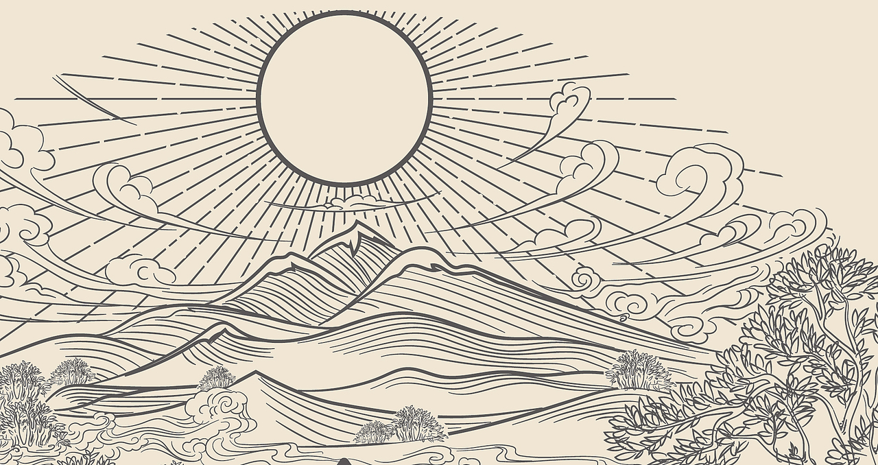 冰岛普洱/稀有私享