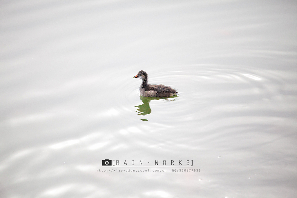 20140914纯粹与静谧之间