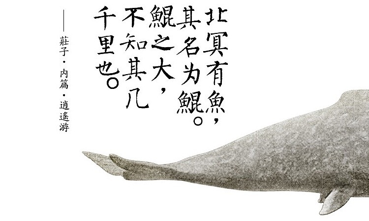 【鲲鹏】大鱼守护灵系列纯银手作项链【尹子出品】（图ZNjc0OTgzMDg=） - 首饰设计 - 站酷设计师尹子君原创素材 - 站酷ZCOOL