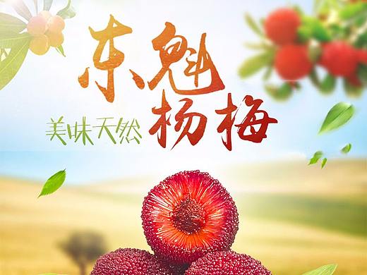 杨梅详情页