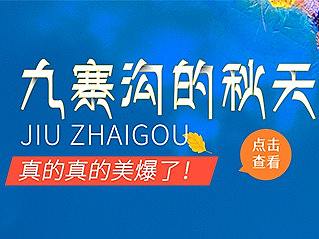 旅游banner