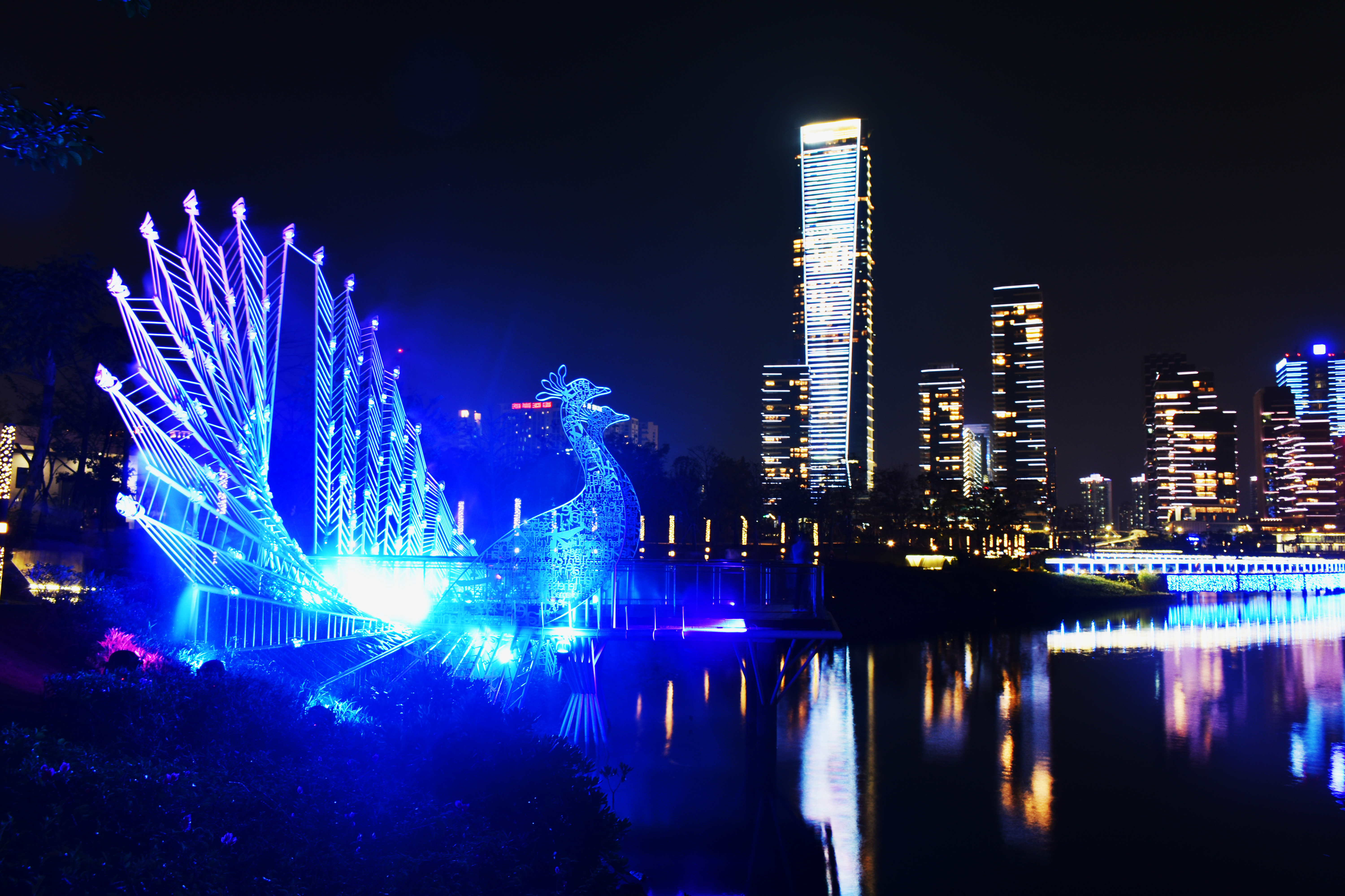 第一次尝试拍城市夜景坐标深圳湾人才公园