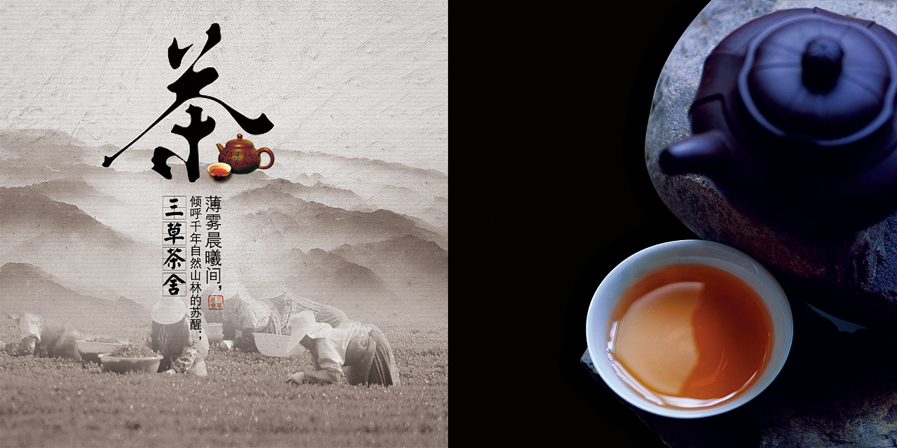 三草茶舍武夷山茶宣传折页