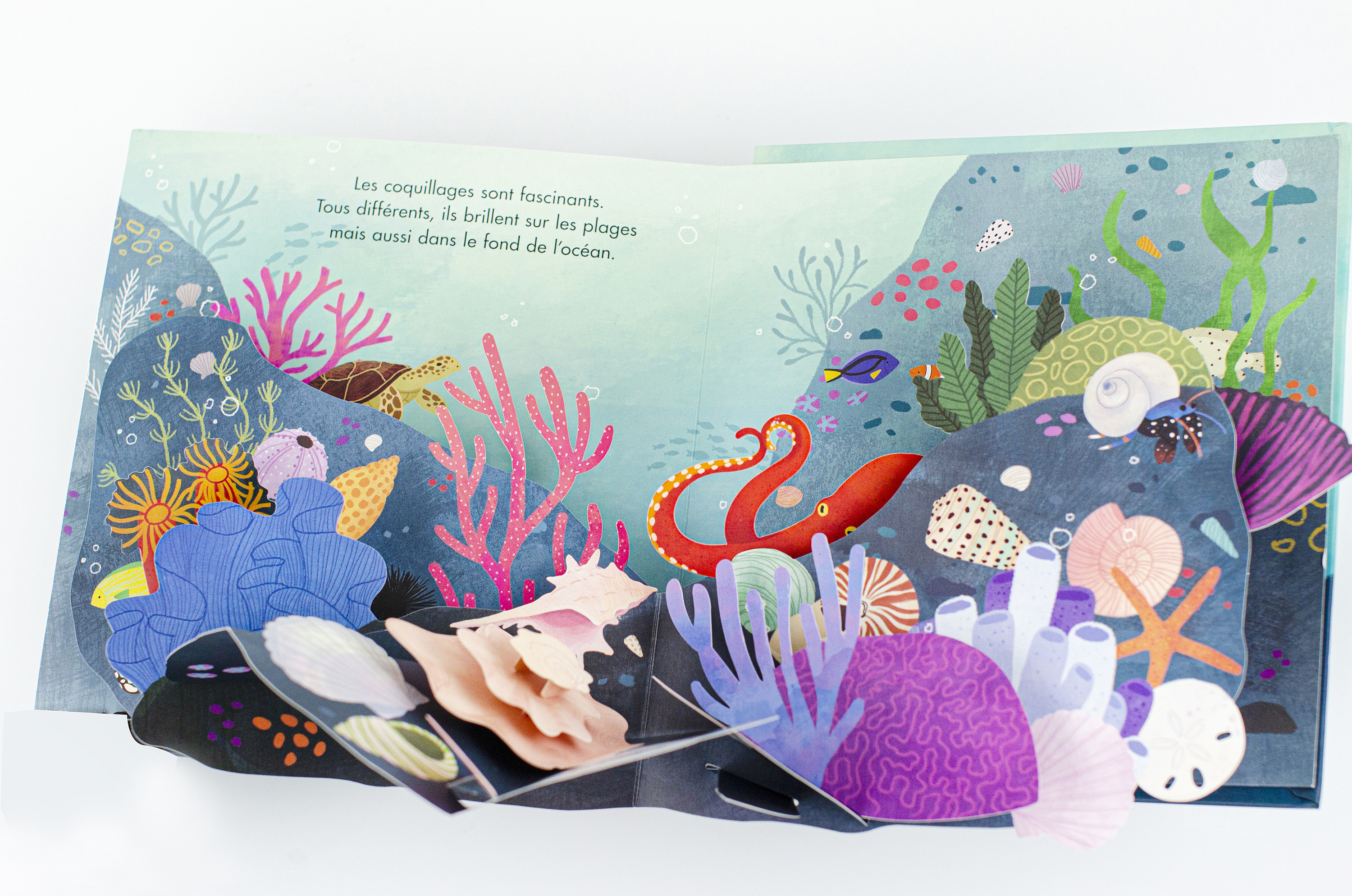 立体书插画(v型折)