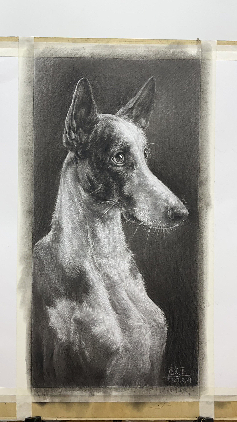 画了一条不知道叫什么的狗！（图ZMzM2NDcwMTYw） - 绘画 - 站酷设计师唐老师的素描课堂原创素材 - 站酷ZCOOL