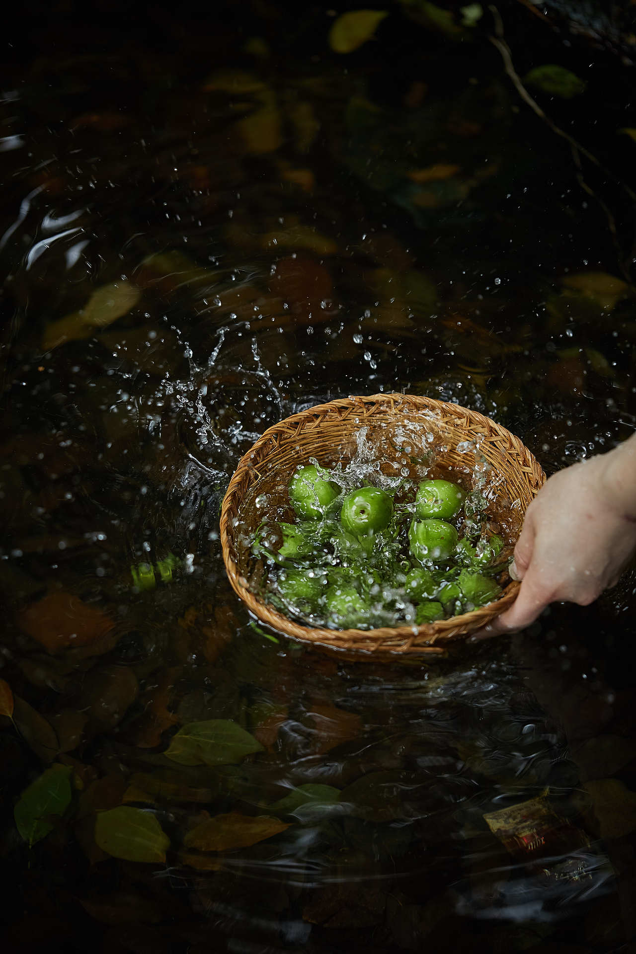 风物｜青梅酒（图ZMjU0MDUwMjY0） - 美食摄影 - 站酷设计师梅食间原创素材 - 站酷ZCOOL