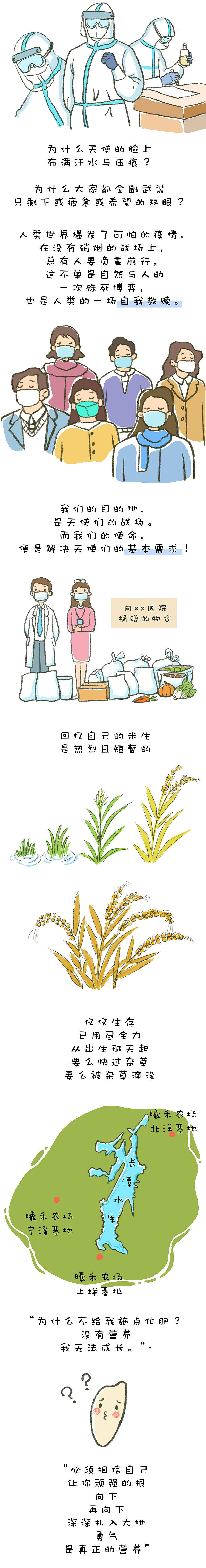 【项目】一个关于大米的故事（图ZMjQyMTA1MDI4） - 新锐潮流插画 - 站酷设计师阿珂miuki原创素材 - 站酷ZCOOL