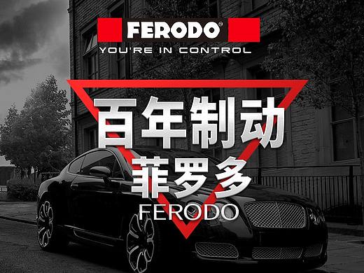 刹车片详情