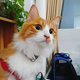 冗源的头像