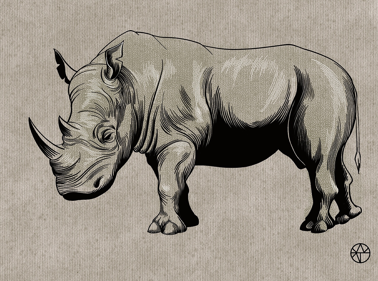 犀牛（图ZMjU3NDgxMjg0） - 创作习作 - 站酷设计师我叫WJN原创素材 - 站酷ZCOOL