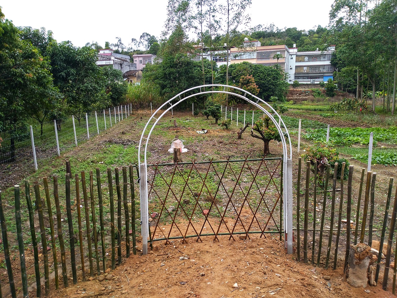 取舍，回归初心（图ZMjgxNDg1ODU2） - 风光摄影 - 站酷设计师治愈的花园原创素材 - 站酷ZCOOL