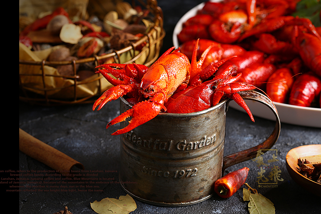 烤串美食（图ZMTE2NDM5OTQw） - 产品摄影 - 站酷设计师食上先飞原创素材 - 站酷ZCOOL