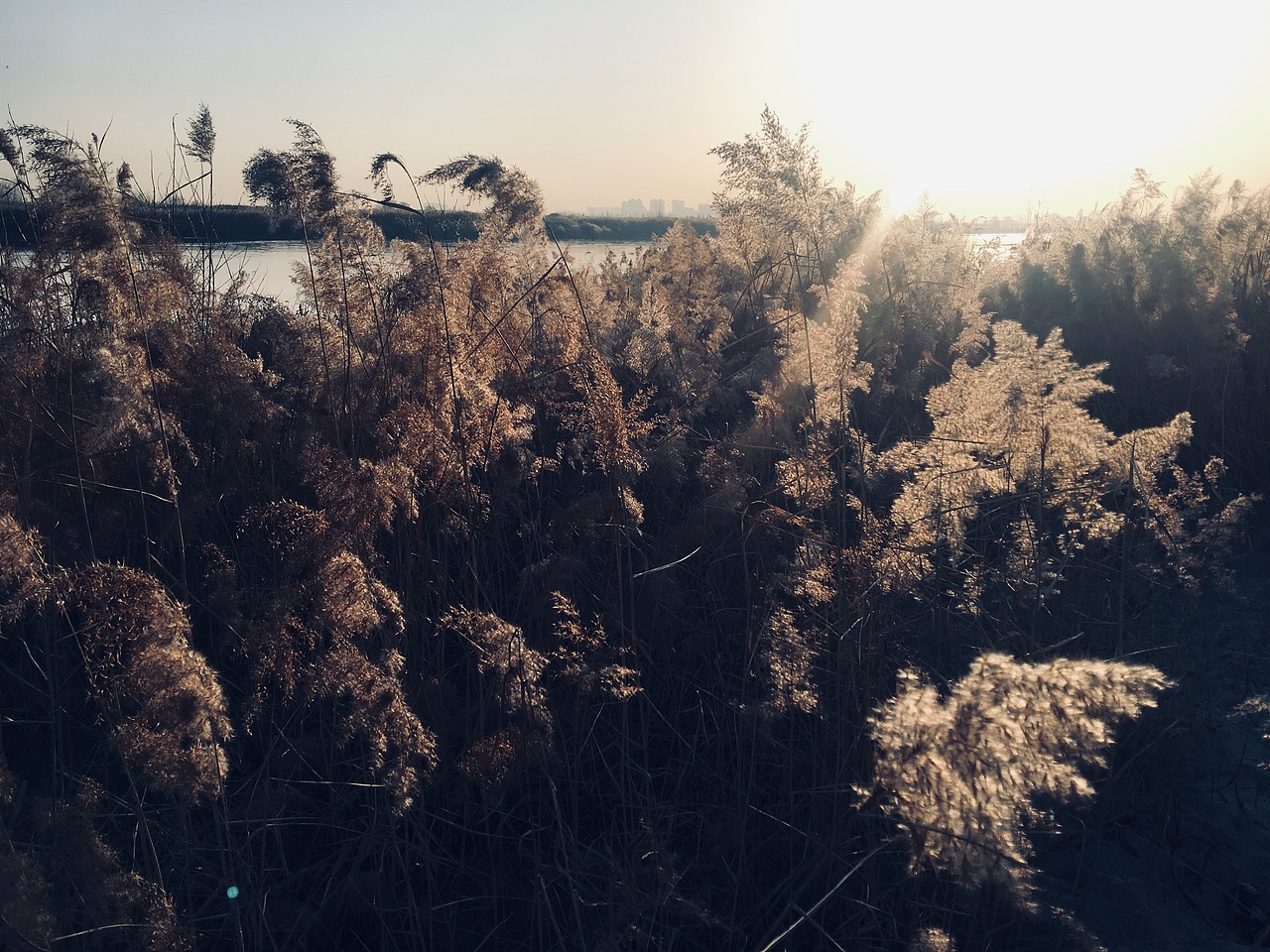 经渭分明冬日摄影作品