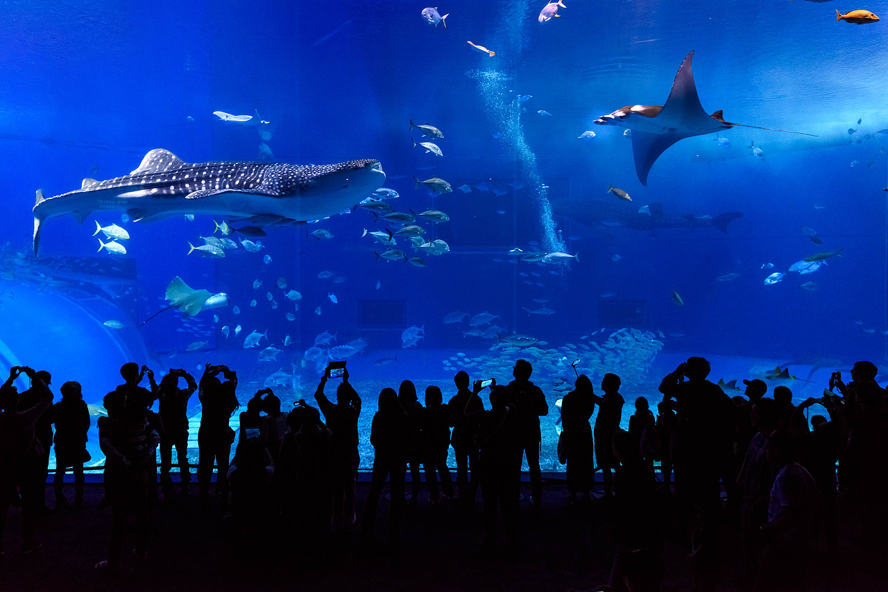 Go Go Okinawa——国际通冲绳北部町（图ZMTAxNDU3MzE2） - 风光摄影 - 站酷设计师五行缺肉海鲜天敌原创素材 - 站酷ZCOOL