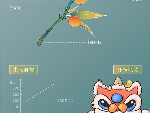 信息图表设计