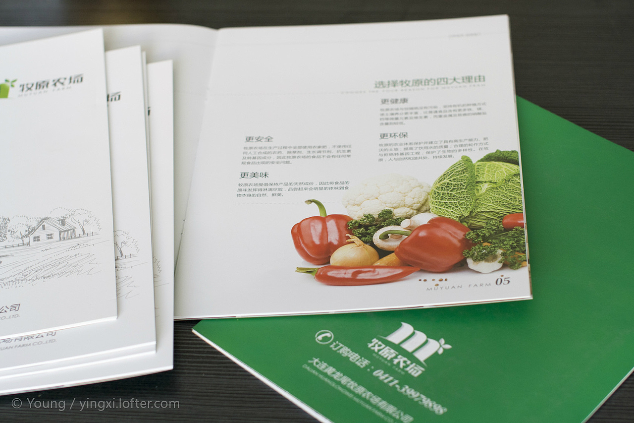 农场标志及后续设计