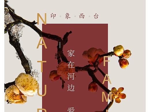 海报（个人主页-ZNDQwMjM5MzI=） - 海报 - 站酷设计师善琢原创素材 - 站酷ZCOOL