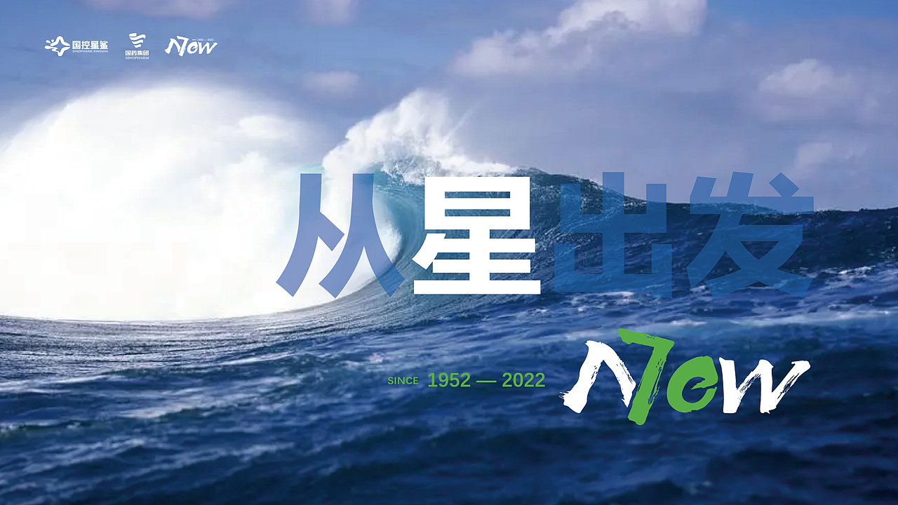 国控星鲨LOGO&70周年徽标设计