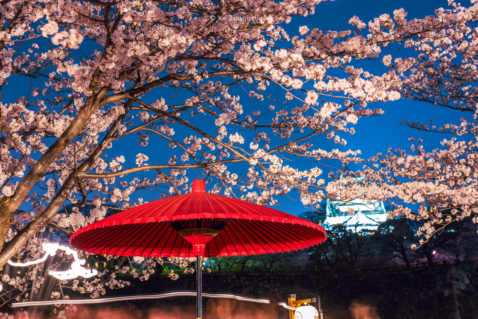 唯美日本樱花街道风景 - tt98图片网