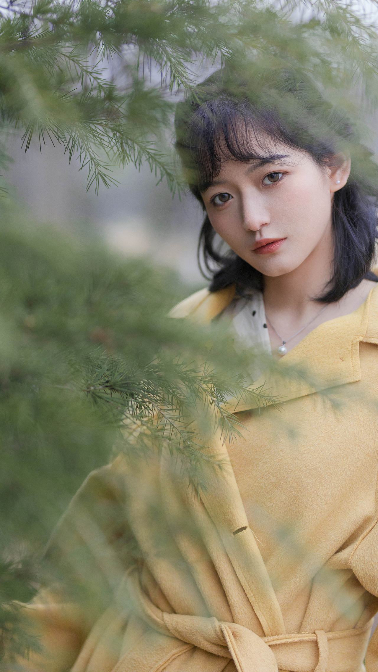 爱丽丝梦里的小草原