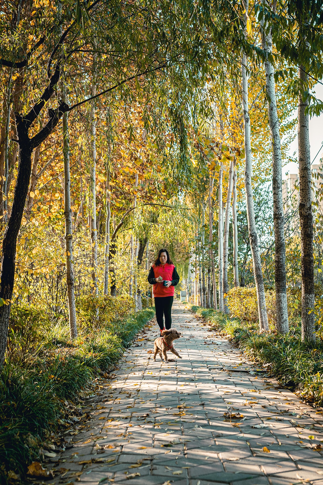 我街拍故事——《一生拍懂一座城》