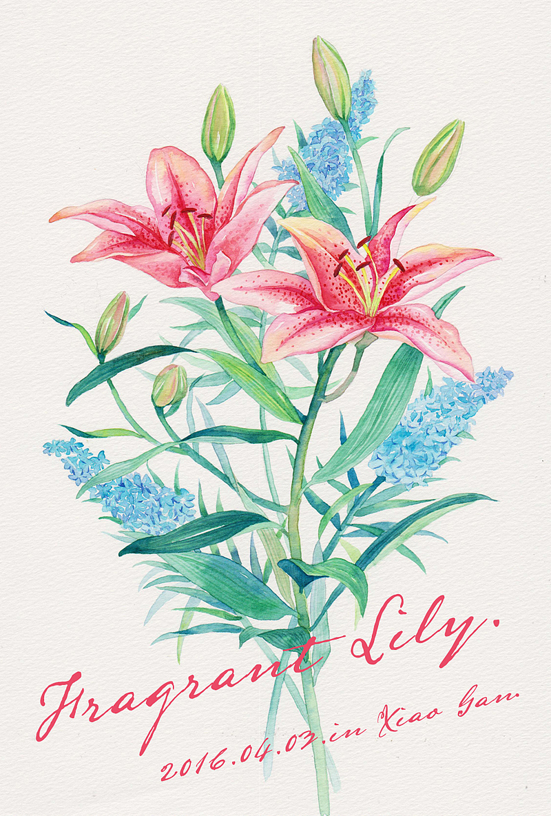 三木花草~婚礼桌签集合（图ZNDY1MzU0NzI=） - 商业插画 - 站酷设计师吴都Jasmine原创素材 - 站酷ZCOOL