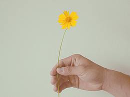 花卉摄影作品《夏森》