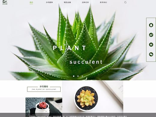 多肉互联网站