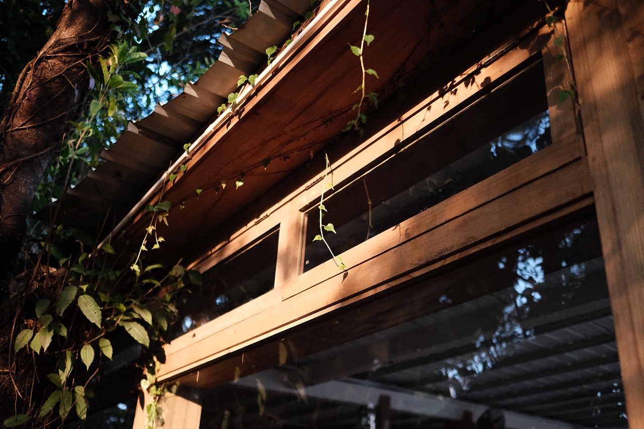 周末时光（图ZMzY3ODUxMDA0） - 人文/纪实摄影 - 站酷设计师雨橙橙原创素材 - 站酷ZCOOL