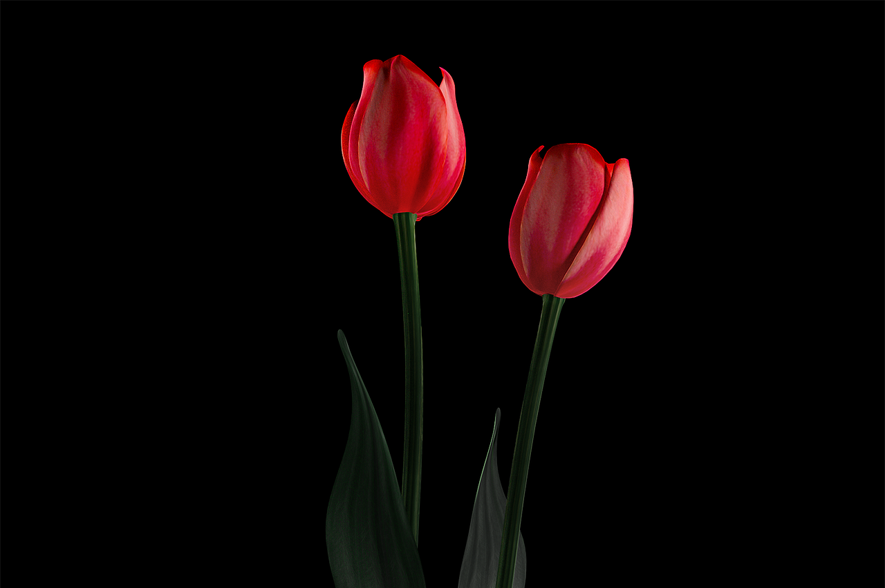 8月-9月63张C4D+OCTANE渲染图合集（图ZMjczMjE1MTY0） - 其他三维 - 站酷设计师火星7号影像原创素材 - 站酷ZCOOL