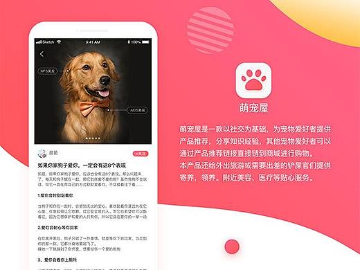 宠物社交app
