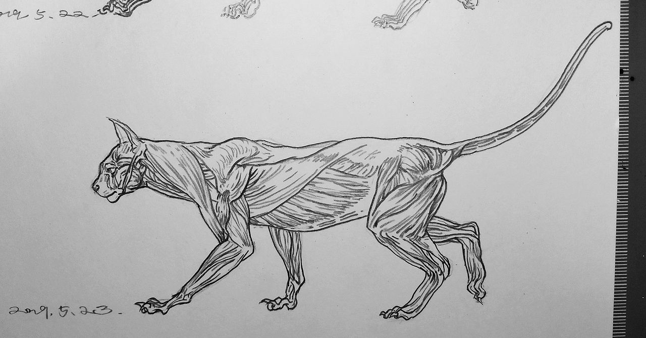 18 19 20 三年作品总结（图ZMjc5MjMxMzM2） - 创作习作 - 站酷设计师李安朔原创素材 - 站酷ZCOOL