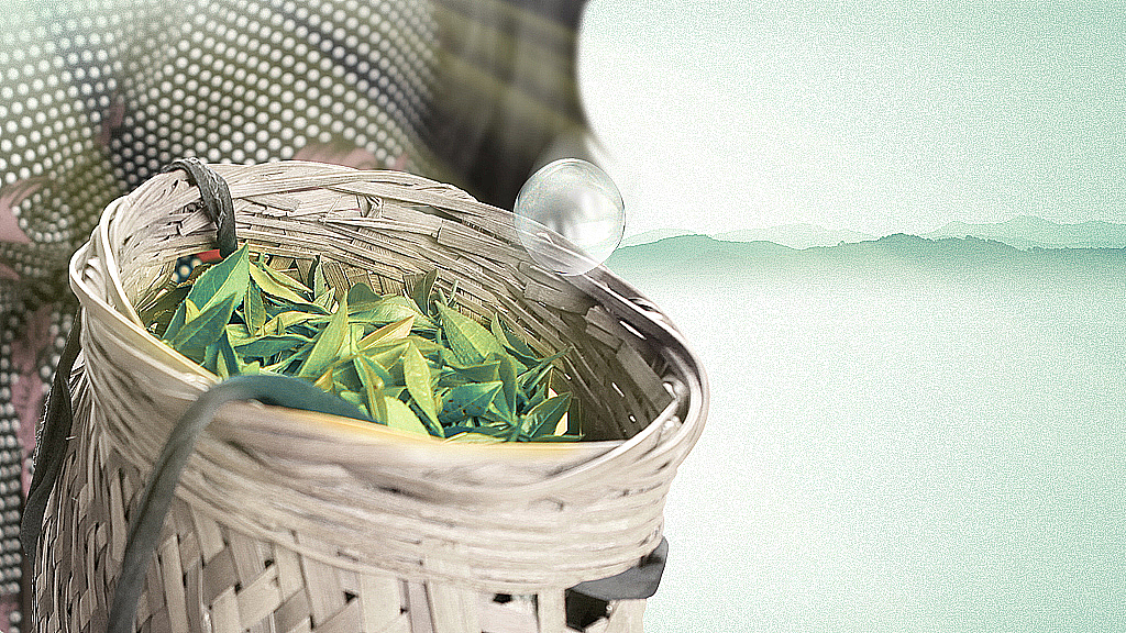 《中粮世博会 广告片》视觉设计（图ZMzQ0MzAzMTI=） - 影视后期 - 站酷设计师kaya_picture原创素材 - 站酷ZCOOL