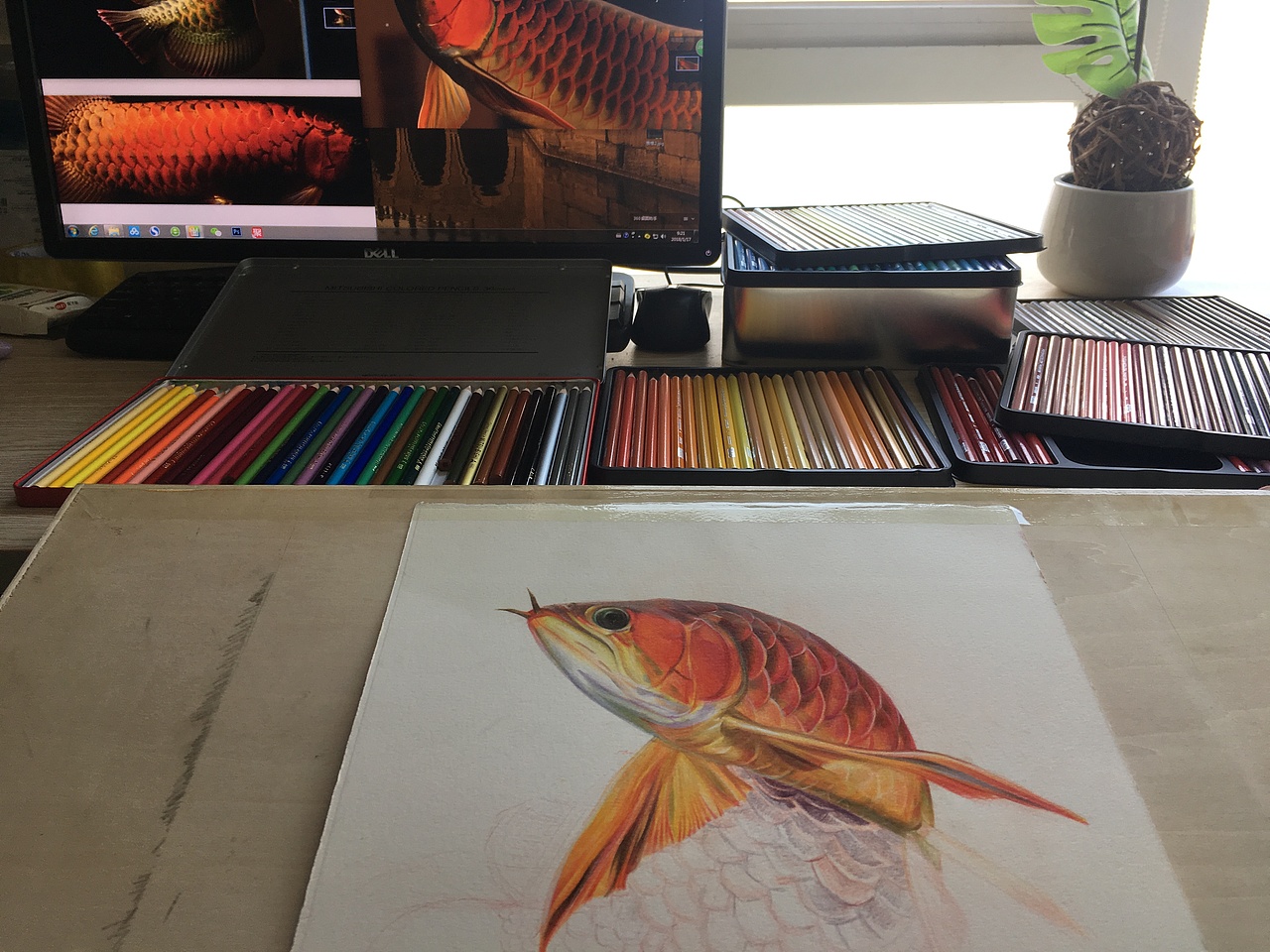 龙鱼第二回（图ZMTAzODAxOTQ4） - 创作习作 - 站酷设计师_lelia原创素材 - 站酷ZCOOL