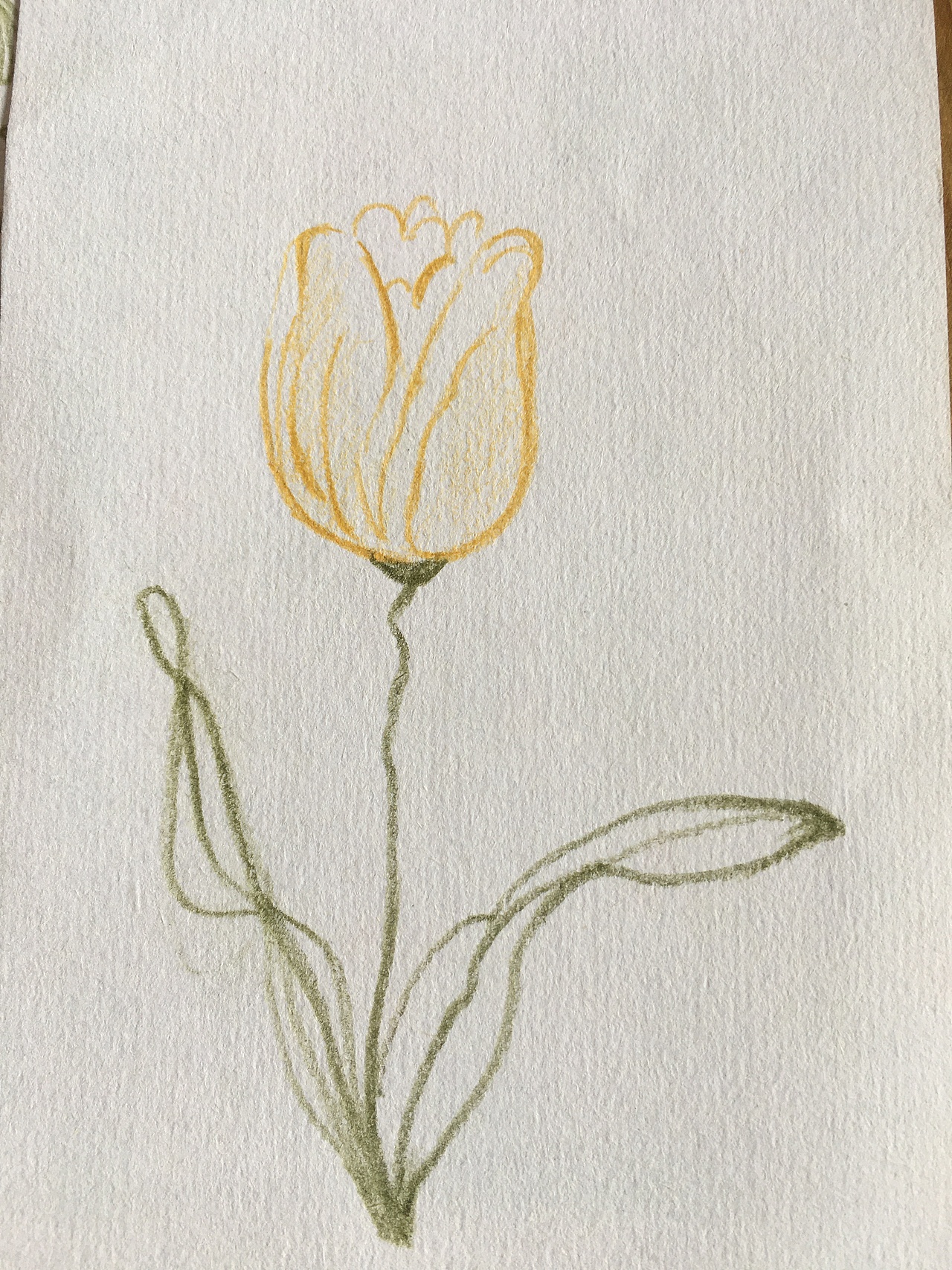 零基础瞎画画｜6月临摹记录