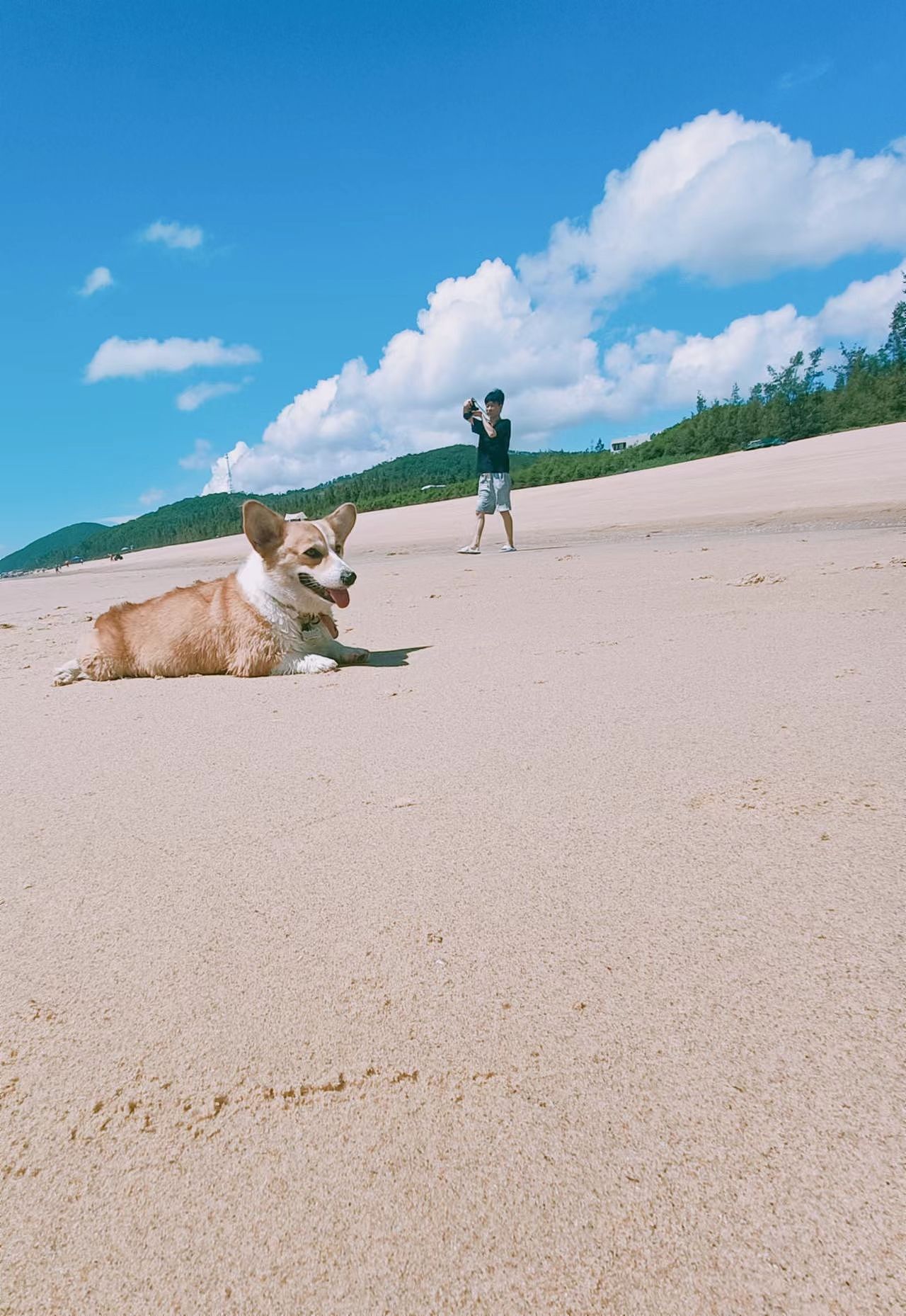 大水鱼的旅游