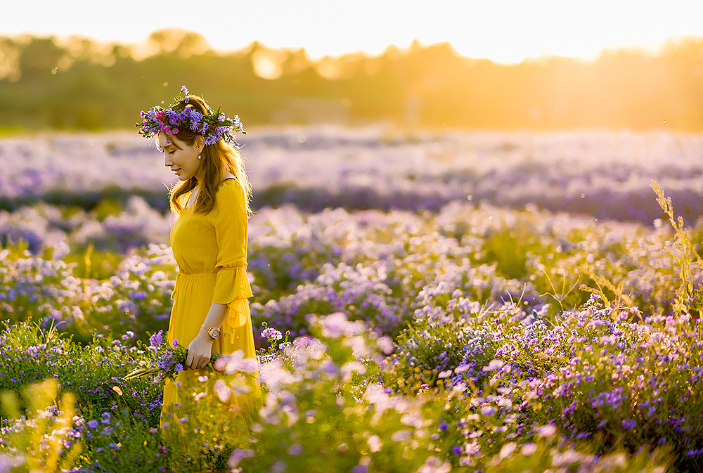 七孔桥花海写真