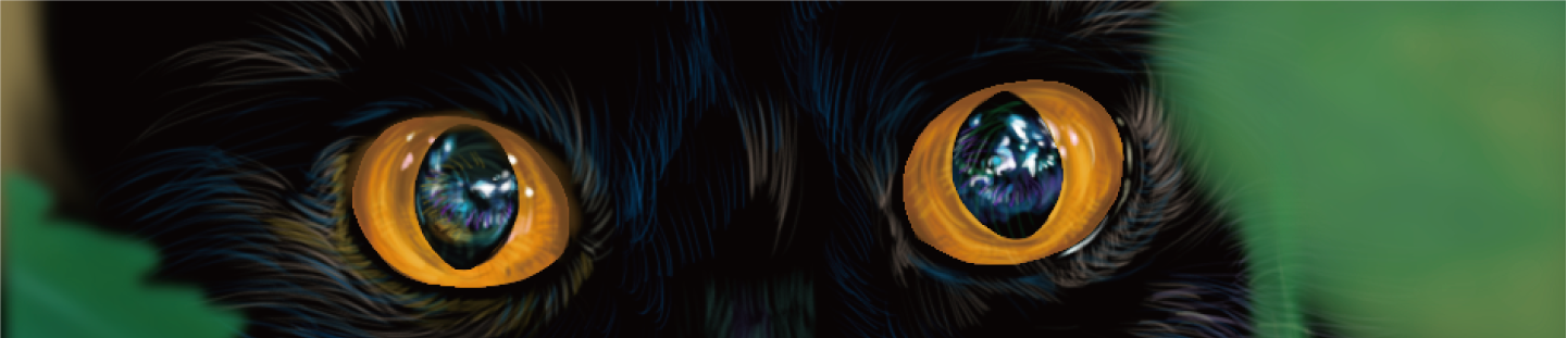 朱no的个人主页（封面预览） - 主页封面设置 - 站酷设计师朱no原创素材 - 站酷ZCOOL