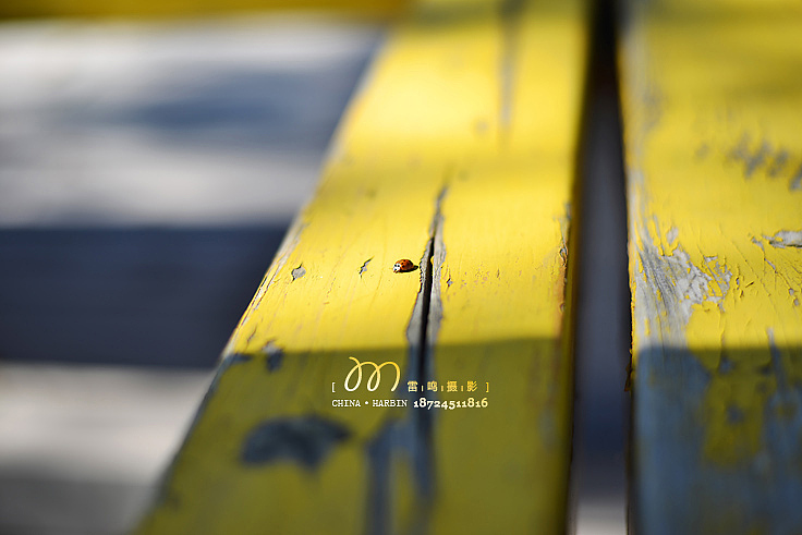 我们一起玩摄影,哈尔滨雷鸣摄影,2014年度作品