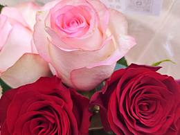 给自己一点浪漫