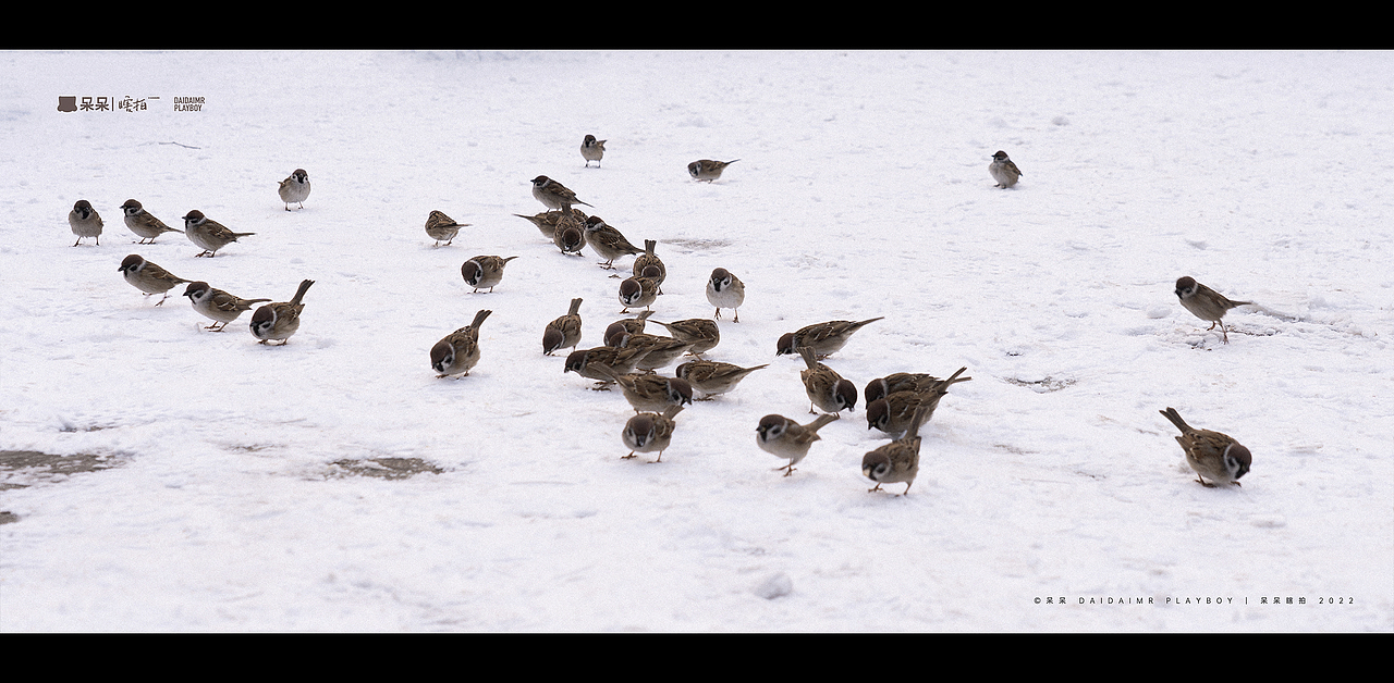 呆呆瞎拍 | 生活就像电影，要有仪式感（图ZMjg3NTYyNDAw） - 人文/纪实摄影 - 站酷设计师呆小东原创素材 - 站酷ZCOOL