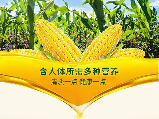 玉米油详情