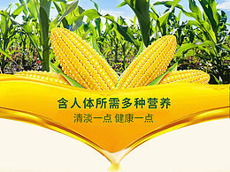 玉米
