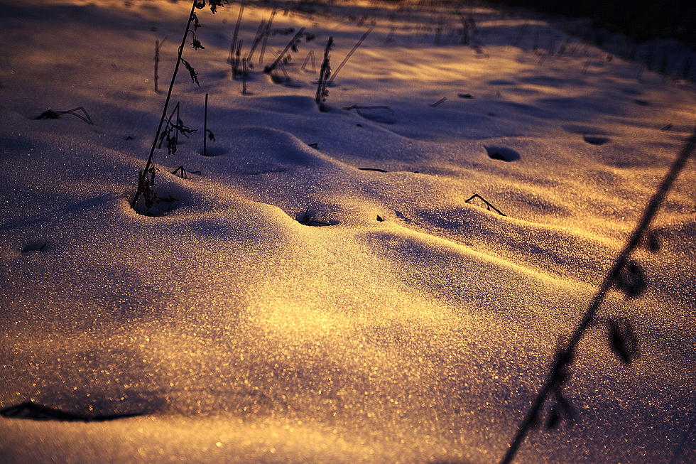 一个人的雪景（下）
