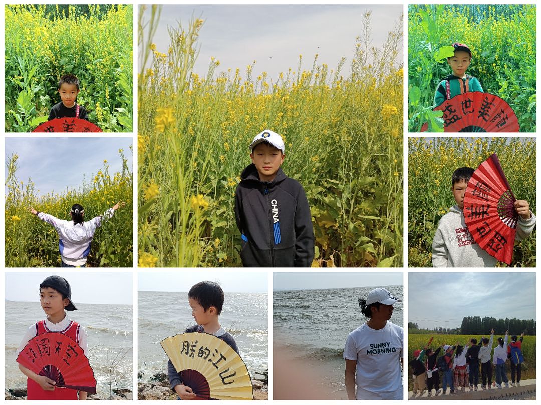 江尾村看油菜花海