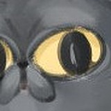王册米胡的头像